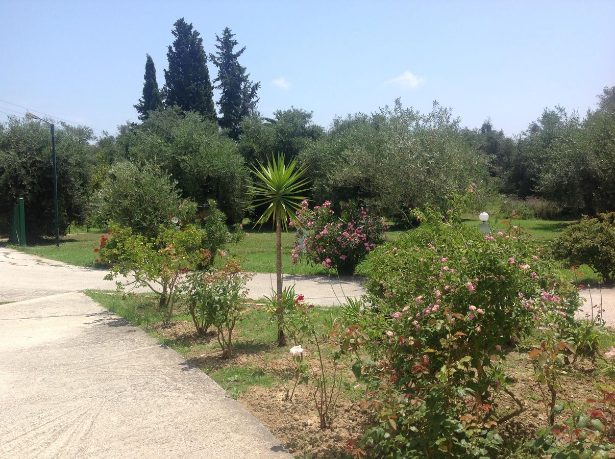 Yianetta Aparthotel 3*